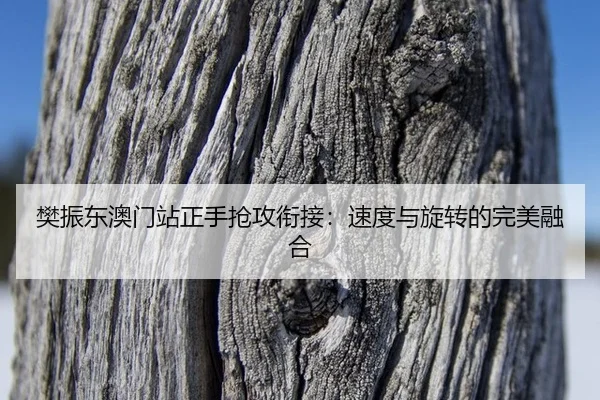 樊振东澳门站正手抢攻衔接：速度与旋转的完美融合