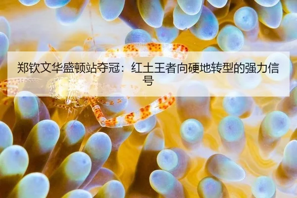 zheng-qin-wen-hua-sheng-dun-zhan-duo-guan-hong-tu-wang-zhe-xiang-ying-di-zhuan-xing-de-qiang-li-xin-hao-3-386.jpg