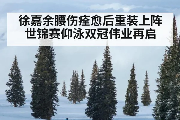 徐嘉余腰伤痊愈后重装上阵世锦赛仰泳双冠伟业再启